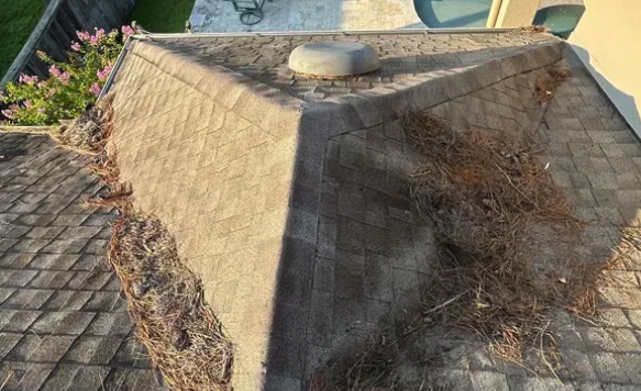 Gutter Cleaning